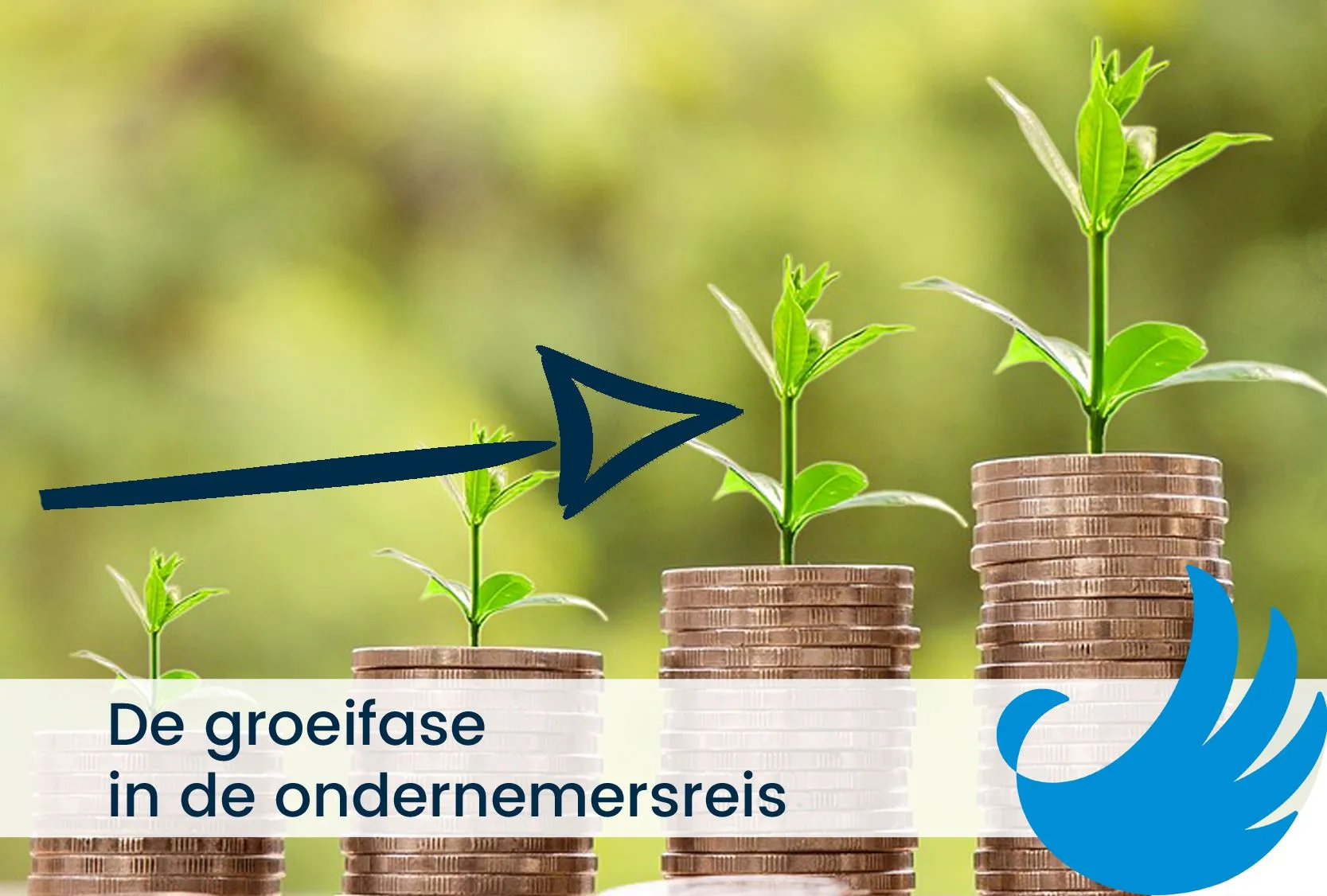 de groeifase in de ondernemersreis