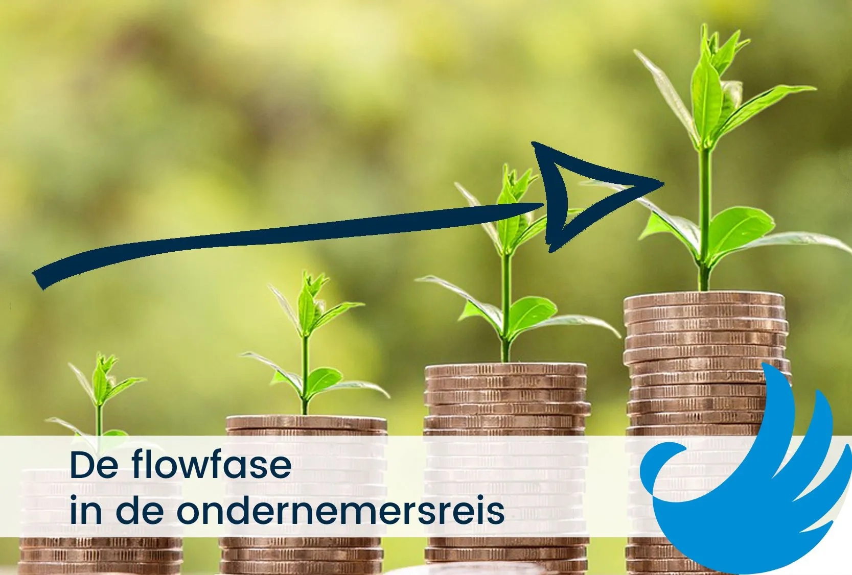 de flowfase in de ondernemersreis
