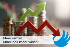 Waarom levert meer omzet niet automatisch meer winst op?