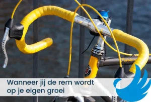Wanneer jij de rem wordt op je eigen groei